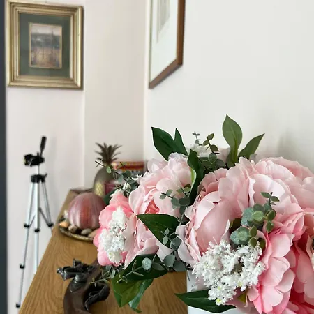 Vip With Swimming Pool Διαμέρισμα Ραπάλο